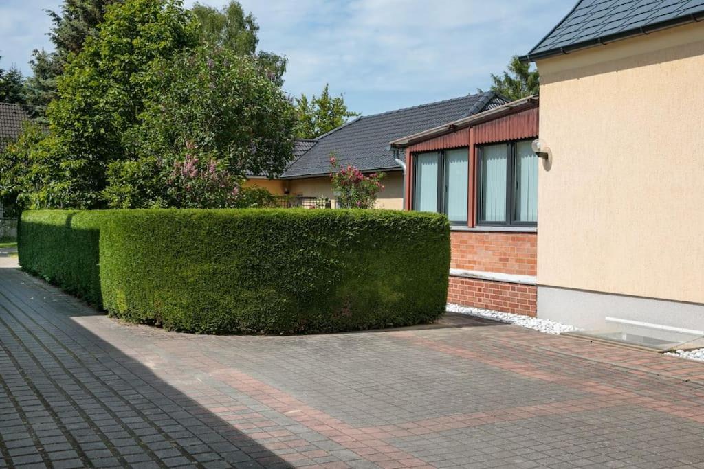 Charmantes Townhaus Mit Garten, W-Lan & Netflix Potsdam Bagian luar foto